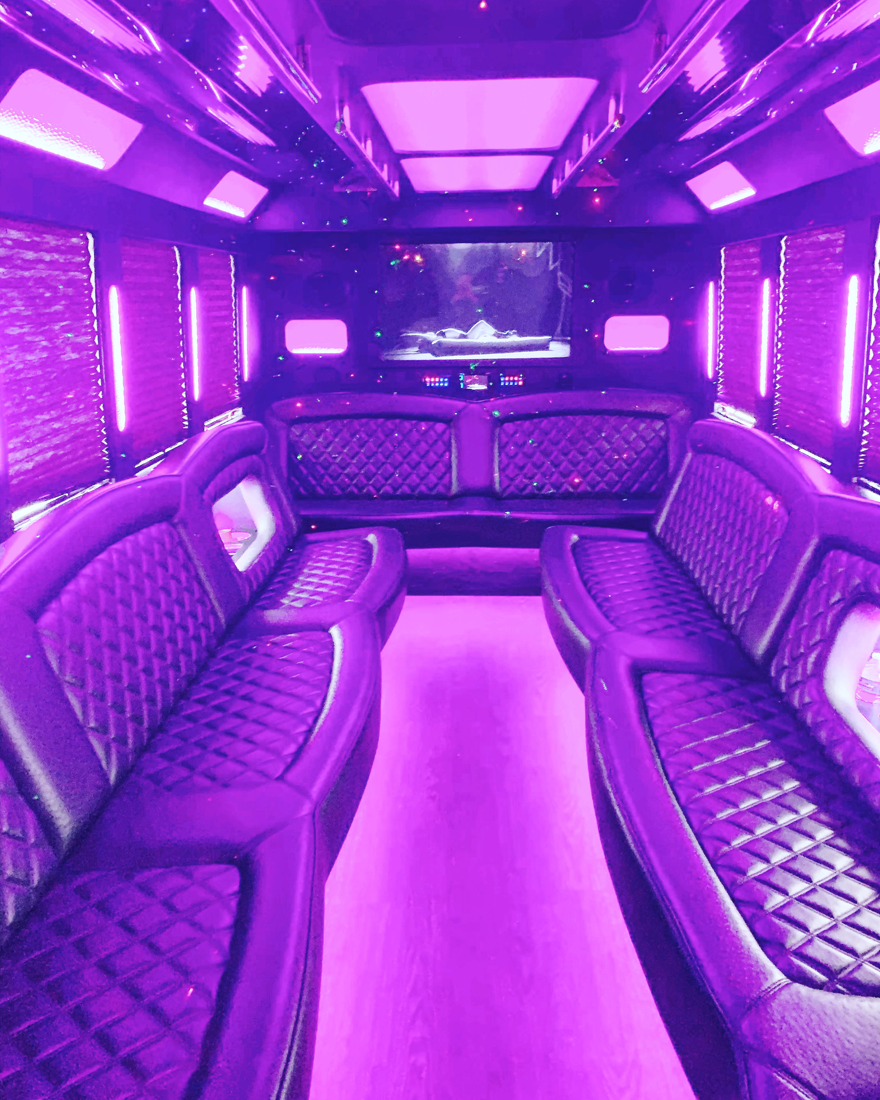Party Bus 20